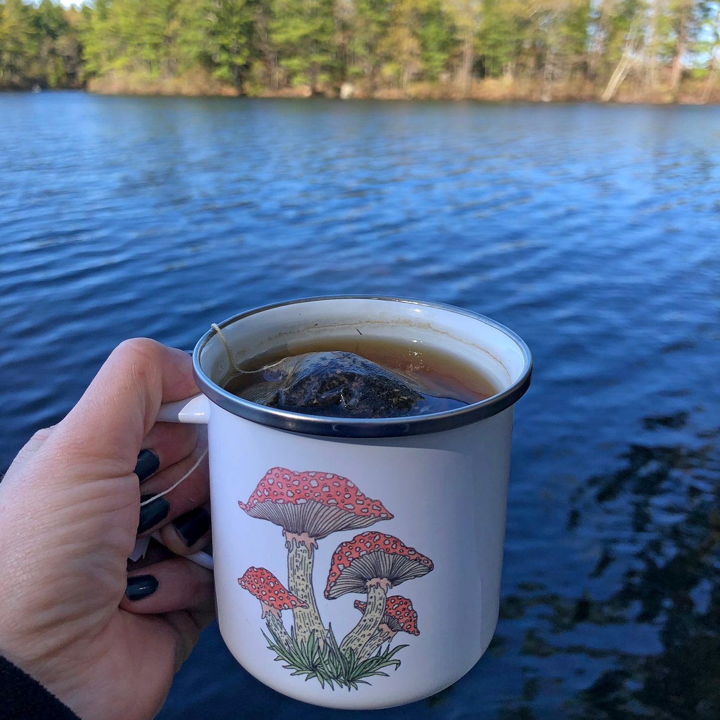 Alpine Start Herbal Tea