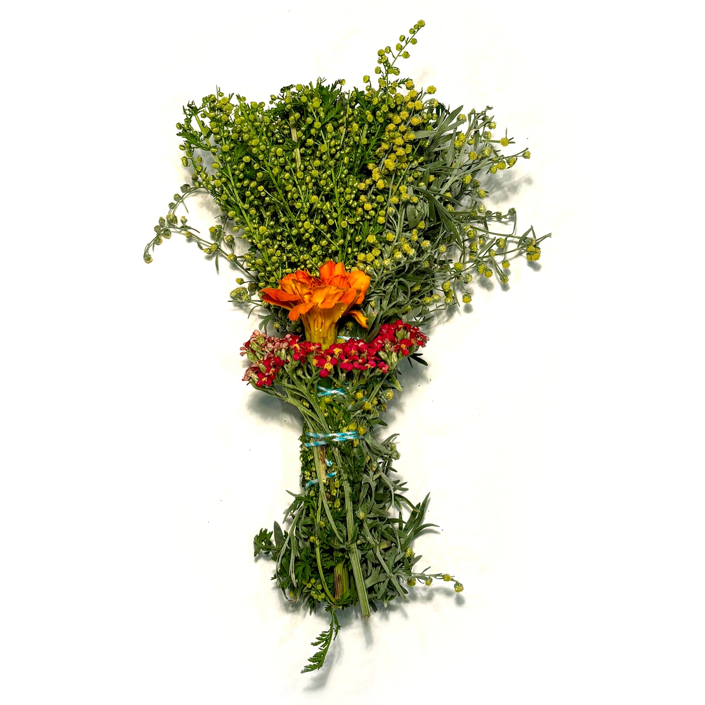 Artemisia Bundle
